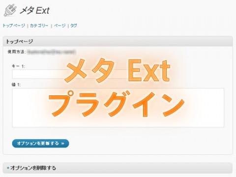 メタ Ext プラグイン